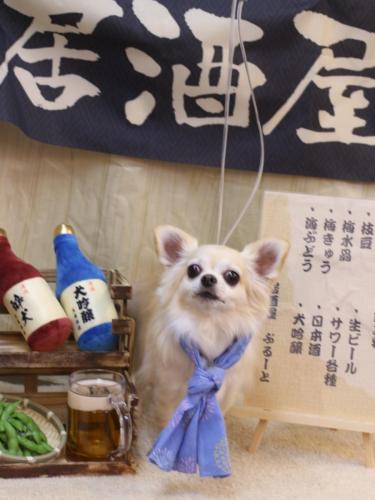 20240613ミルクちゃん